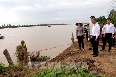Vĩnh Long khảo sát, tìm giải pháp bảo vệ cồn Thanh Long trước sạt lở