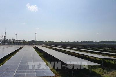 Quảng Ninh đề xuất bổ sung 8 dự án điện mặt trời vào quy hoạch điện quốc gia
