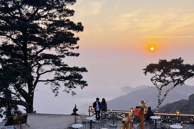 Cuối tuần lên Tam Đảo, tìm một khoảng bình yên cách Hà Nội không quá xa