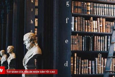 AI với 'công đường' - Kỳ 4: Câu chuyện 'Thẩm phán robot' nơi phòng xử Châu Âu