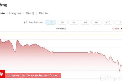 VN-Index rơi mạnh, sắc đỏ bao trùm