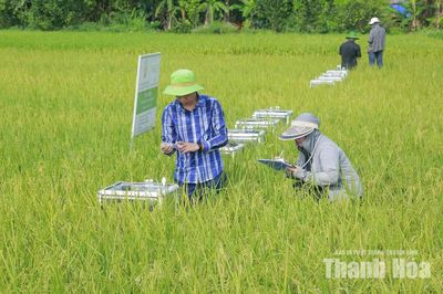 Sàn giao dịch carbon - cơ hội và thách thức cho ngành nông nghiệp