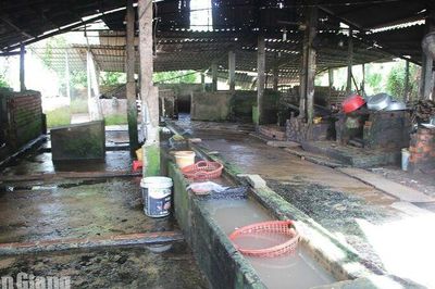 Chấm dứt hoạt động cơ sở giết mổ gây ô nhiễm môi trường tại xã Hội An