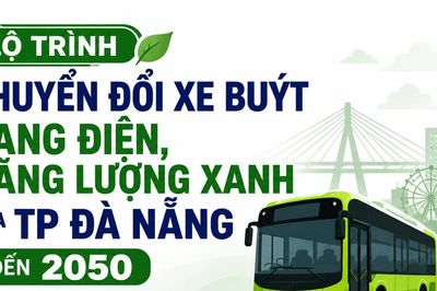 [Infographic] - Đà Nẵng sẽ chuyển đổi hoàn toàn xe buýt sang điện và năng lượng xanh vào năm 2050