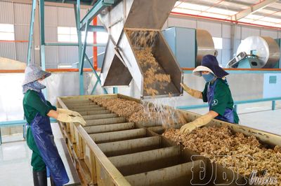 Thúc đẩy phát triển nông nghiệp hiện đại