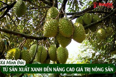 [Video] Xã Minh Đức: Từ sản xuất xanh đến nâng cao giá trị nông sản