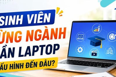 Sinh viên từng ngành thực sự cần laptop cấu hình đến đâu?