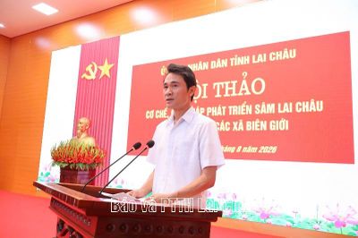 Hội thảo 'Cơ chế, giải pháp phát triển sâm Lai Châu trên địa bàn các xã biên giới'