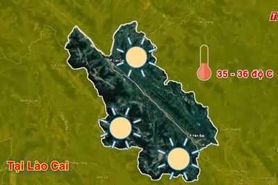 Dự báo thời tiết ngày 14/8