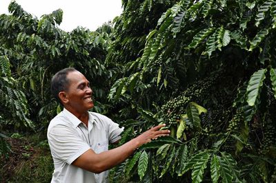 Những 'cánh chim đầu đàn' lặng lẽ