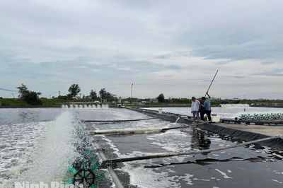 Về Hải Xuân ngắm bức tranh kinh tế đa sắc