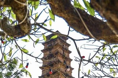 Tháp Bình Sơn, điểm hẹn hành hương ngàn năm tuổi