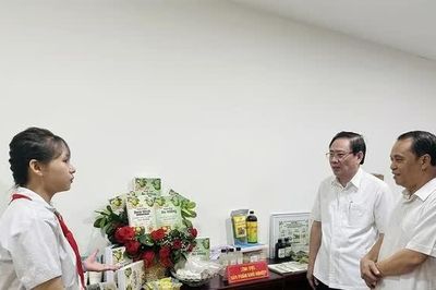 100 dự án vào Chung khảo Cuộc thi sáng tạo thanh thiếu niên nhi đồng tỉnh năm 2026