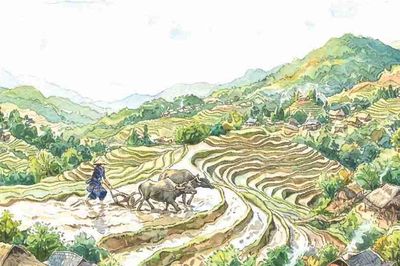 Thơ song ngữ Tày - Việt