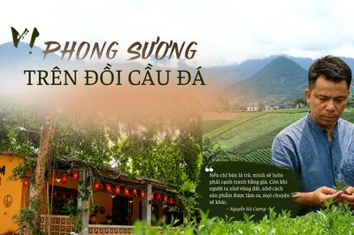 Vị phong sương trên đồi Cầu Đá