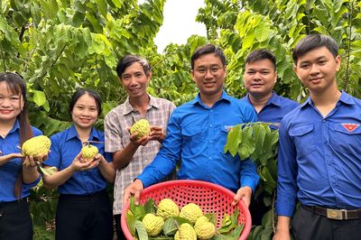 Mãng cầu Vinh Lộc lên nền tảng số