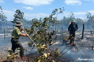 Xuyên đêm chữa cháy rừng