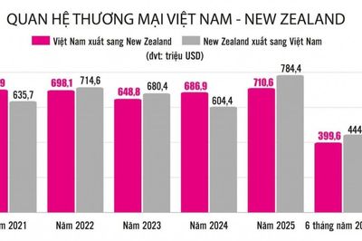 Việt Nam - New Zealand: Mở rộng hợp tác trong các lĩnh vực giàu tiềm năng