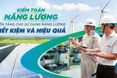 Kiểm toán năng lượng: Từ nghĩa vụ pháp lý đến "la bàn" cạnh tranh của doanh nghiệp
