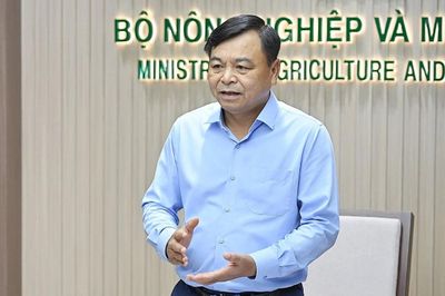 Đề án 1 triệu ha lúa: Từ giảm phát thải đến xây dựng thương hiệu “gạo Việt Nam xanh”