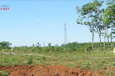 Quảng Trị: Đẩy nhanh tiến độ khảo sát, tìm kiếm hố mộ tập thể 173 liệt sĩ tại đồi Cồn Tiên
