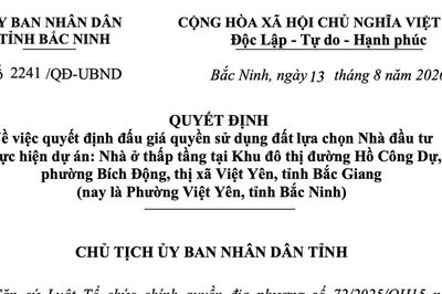 Bắc Ninh đấu giá hơn 6.100m2 đất làm nhà ở thấp tầng tại phường Việt Yên
