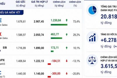 Những cổ phiếu 'sinh lời' nhất của VIX trong danh mục tự doanh