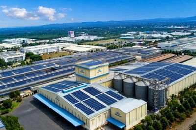 Cổ phiếu của Nông nghiệp Hòa Phát được vay margin, giảm 30% sau 6 tháng