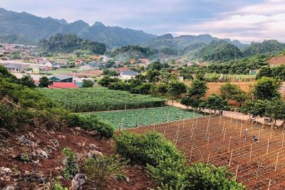 Khai thác đa giá trị đất đai: Cởi trói nguồn lực, siết kỷ cương