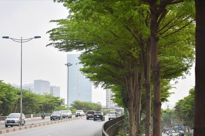 Thời tiết Hà Nội dịu mát