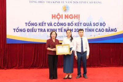 Tổng kết, công bố kết quả sơ bộ tổng điều tra kinh tế tỉnh năm 2026