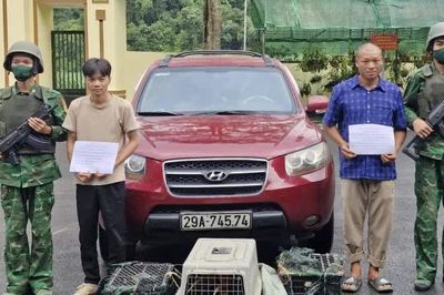 Phát hiện, bắt giữ 2 đối tượng vận chuyển trái phép động vật hoang dã qua biên giới