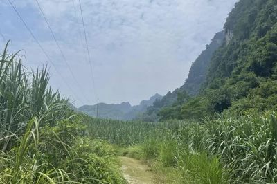 Thời tiết các khu vực trong tỉnh ngày 15/8, có mưa, mưa rào và dông ở vài nơi, ngày giảm mây trời nắng