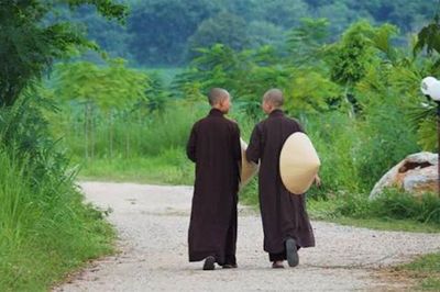 Ngộ nhận 'mặc áo nâu là nhà sư' và sự thật hành trình xuất gia trong Phật giáo