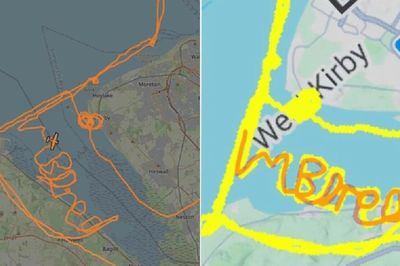 Phi công điều khiển máy bay viết dòng chữ ' Tôi chán quá', hãng hàng không lập tức lên tiếng