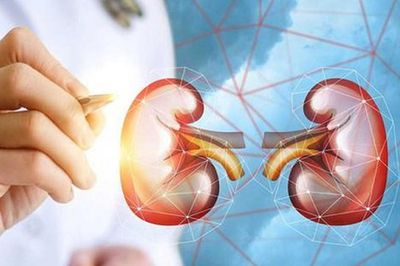 Sỏi tiết niệu ở trẻ: Phát hiện muộn có thể ảnh hưởng chức năng thận