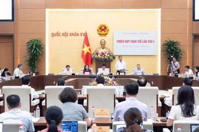 Sửa Luật Đất đai: Đề xuất thu hồi phần đất còn lại khi đạt ngưỡng 75%