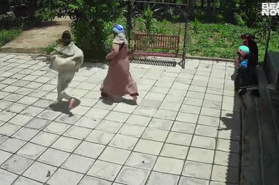 Mẹ con hoảng hốt bỏ chạy khi vừa vào nhà, nguyên nhân khiến ai cũng bật cười