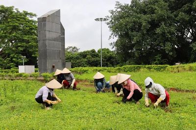 'Chiến dịch Xanh' góp sức gìn giữ di tích Đồi A1