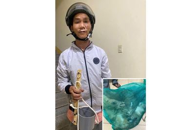 'Miêu tặc' lại tái phạm