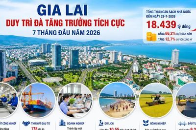 Gia Lai thu ngân sách trong 7 tháng đạt hơn 18.400 tỷ đồng