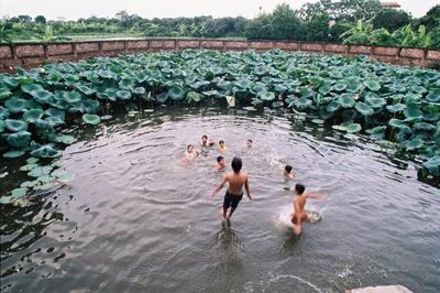 Ao làng quê ngoại