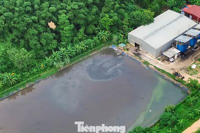 Nguy cơ nước thải chưa qua xử lý chảy tràn ra môi trường ở trang trại lợn rộng 100ha