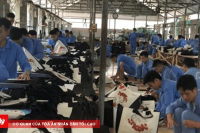 Dạy nghề cho người cai nghiện: Trao sinh kế, mở lối tái hòa nhập cộng đồng
