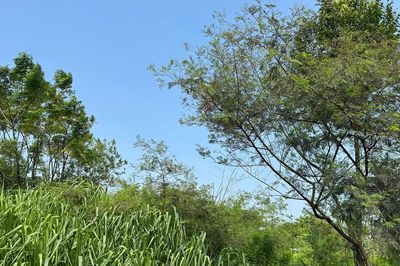 Khu đô thị được ví như 'Phú Mỹ Hưng của miền Bắc' vẫn dang dở sau hơn 18 năm