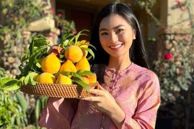 Nhà vườn ngập hoa trái ai cũng ước của vợ chồng diễn viên Diệu Hương ở Mỹ