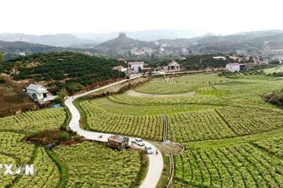 Bắc Ninh bổ sung nguồn lực để hoàn thiện giao thông cơ sở