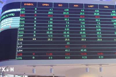 VN-Index chịu áp lực điều chỉnh cùng chiến lược tái cơ cấu danh mục