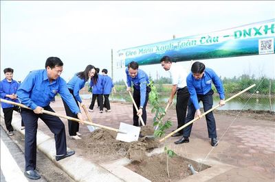 Tuổi trẻ chung tay xây dựng nông thôn mới theo hướng thiết thực, hiệu quả