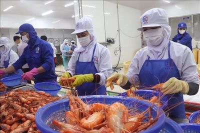 'Khoan thư sức dân', tạo dư địa cho doanh nghiệp phục hồi